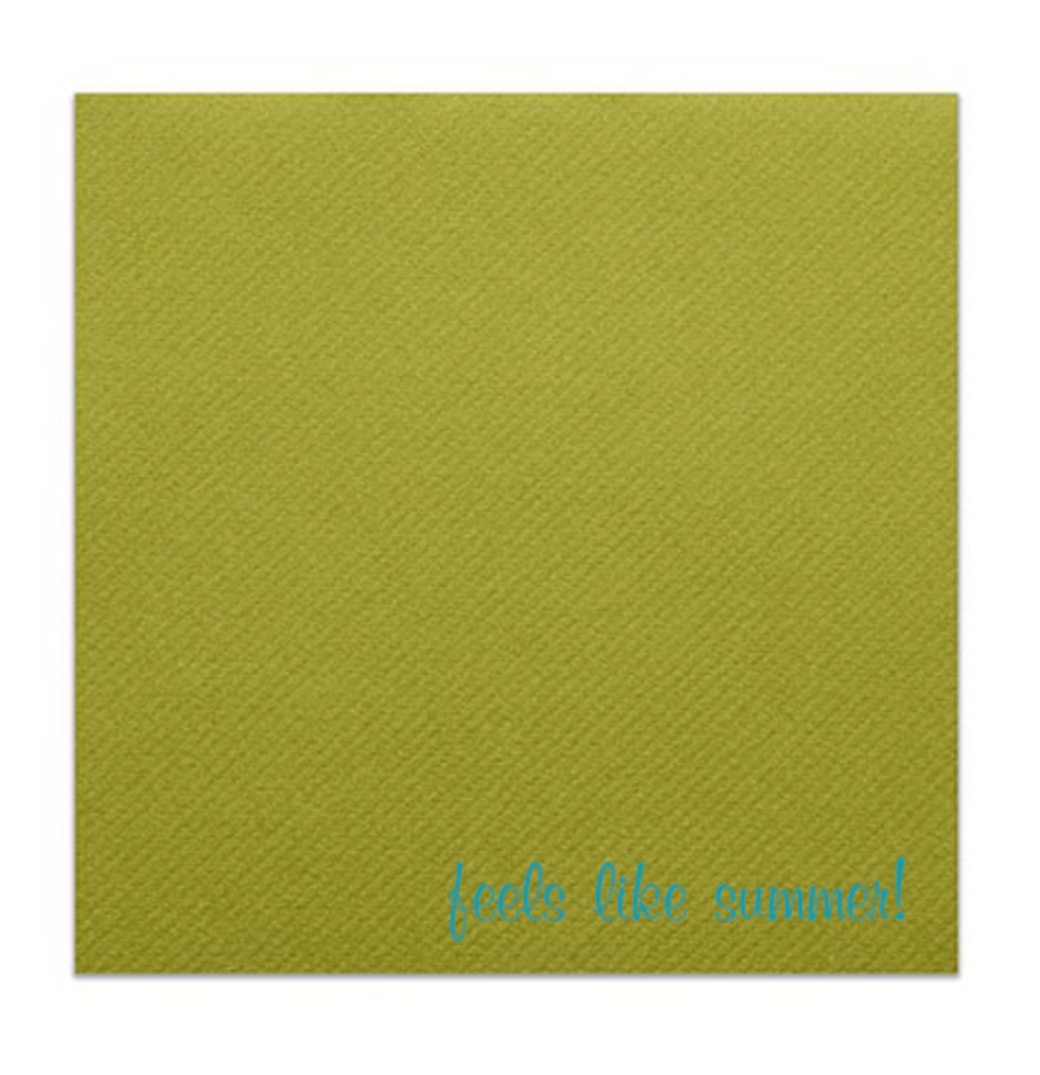 Feels Like Summer Cocktail Napkins | Kiwi