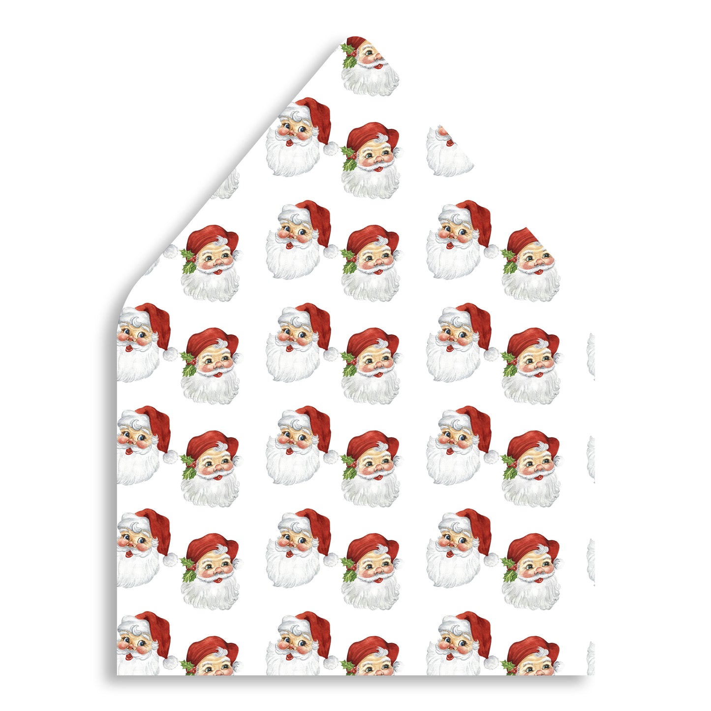 Candy Cane Stripes Holiday Card